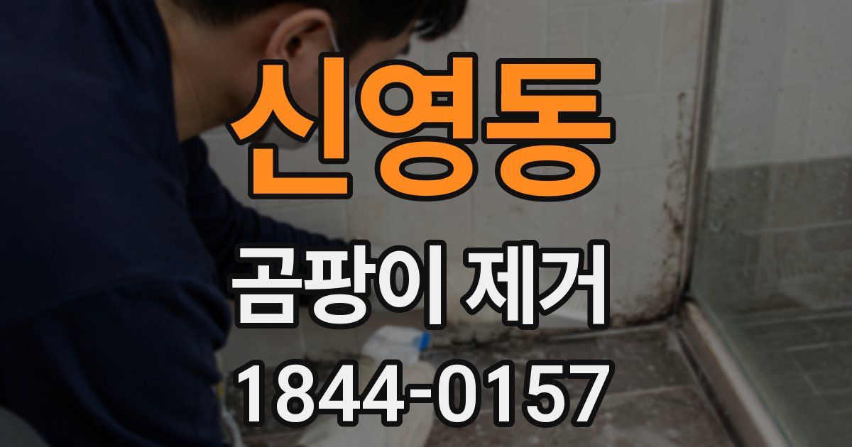 신영동 곰팡이 제거