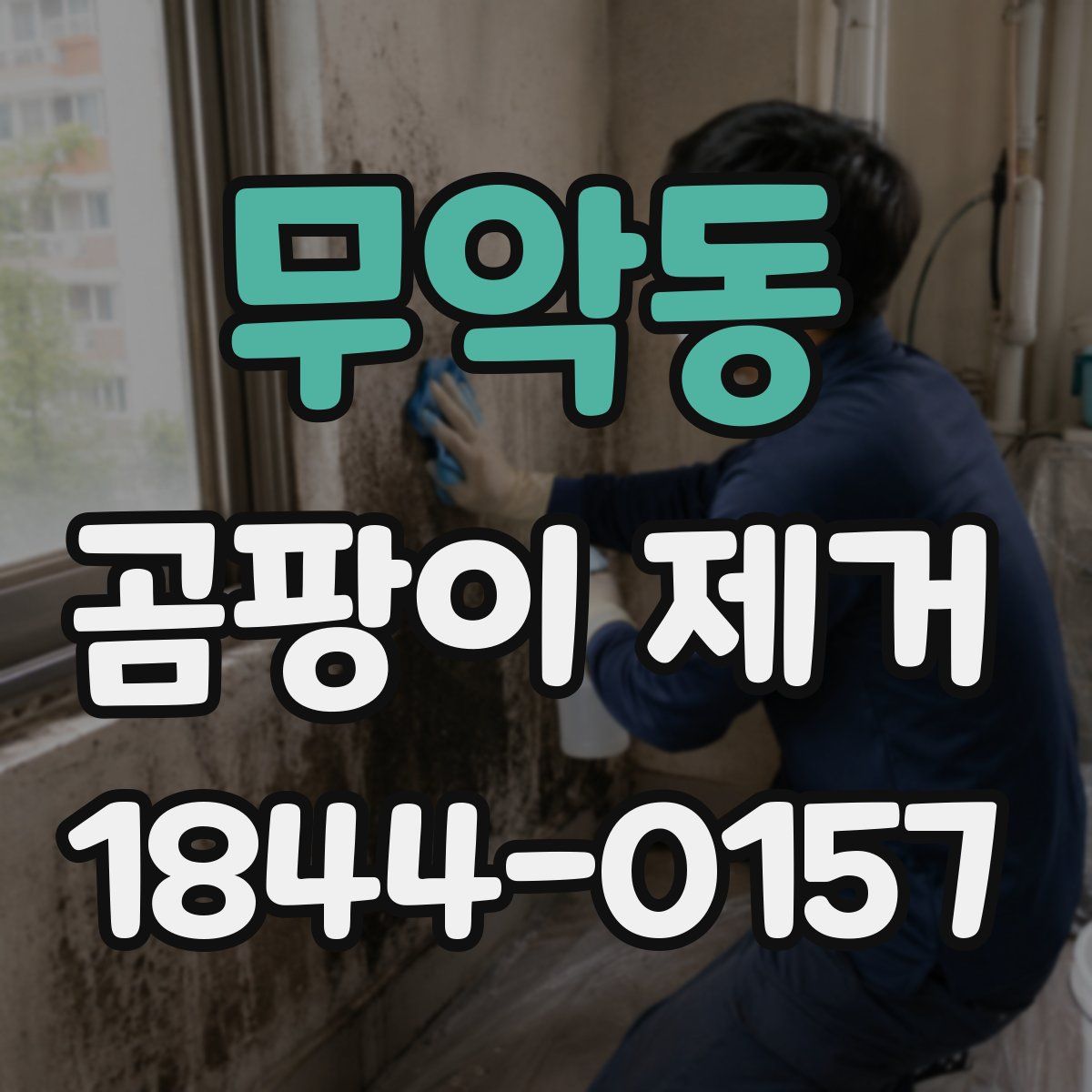 무악동 곰팡이 제거