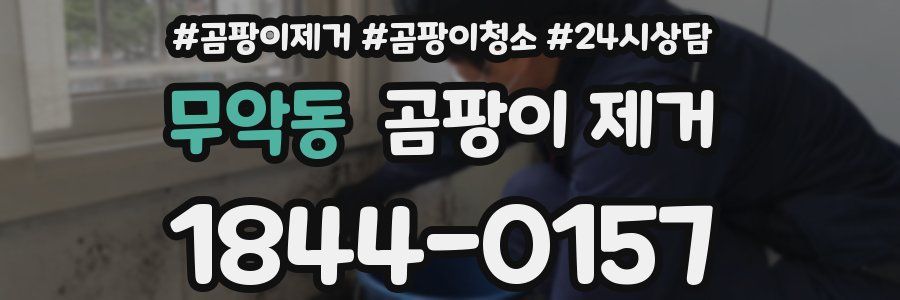 무악동 곰팡이 제거