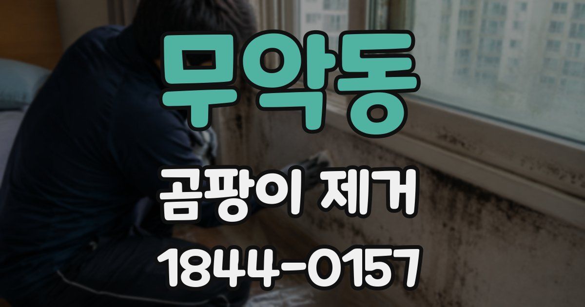 무악동 곰팡이 제거