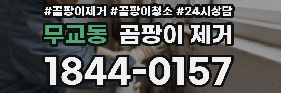 무교동 곰팡이 제거