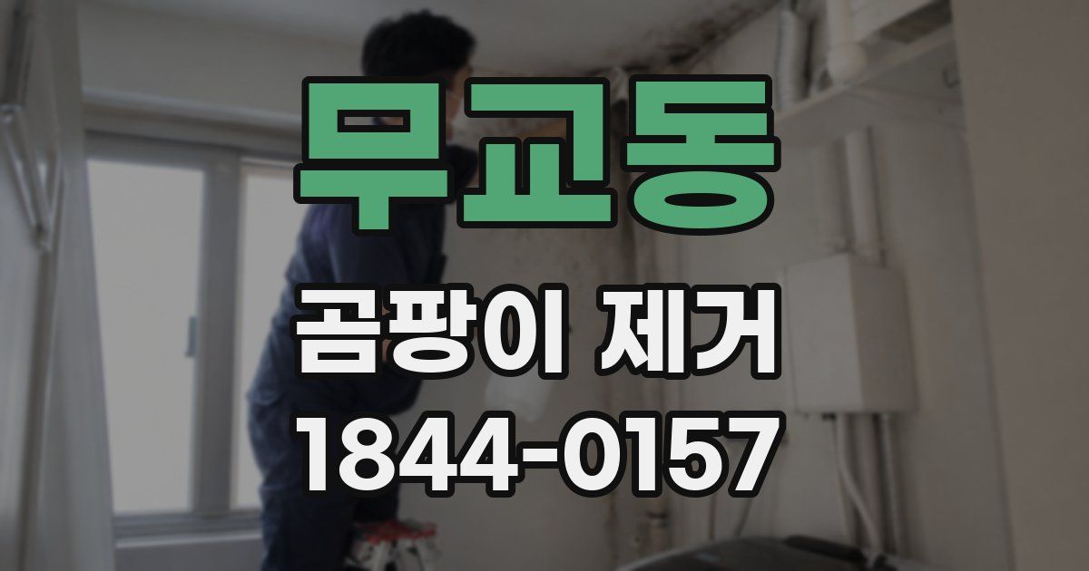 무교동 곰팡이 제거