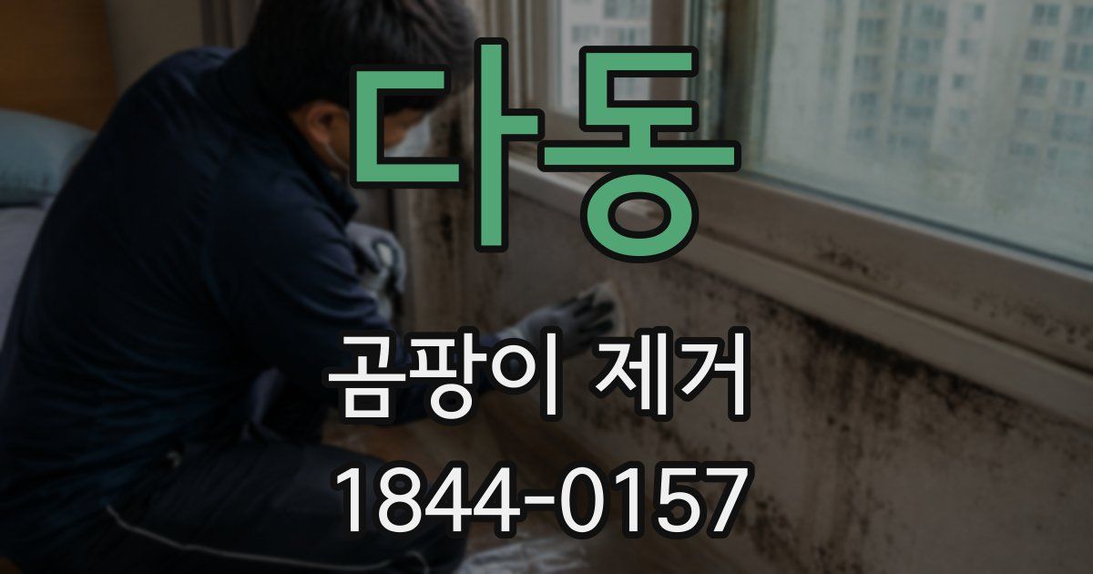 다동 곰팡이 제거