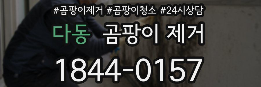 다동 곰팡이 제거