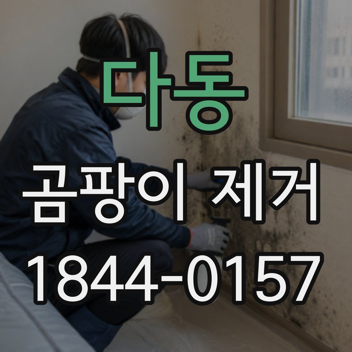 다동 곰팡이 제거