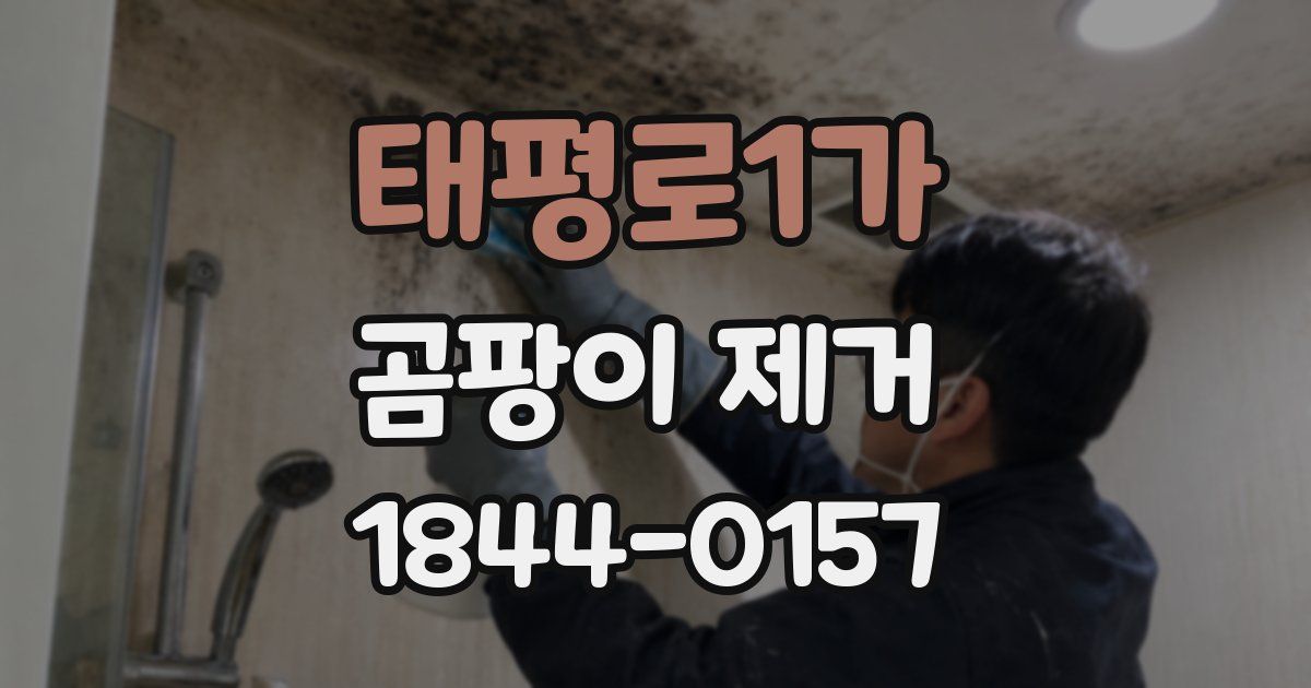 태평로1가 곰팡이 제거