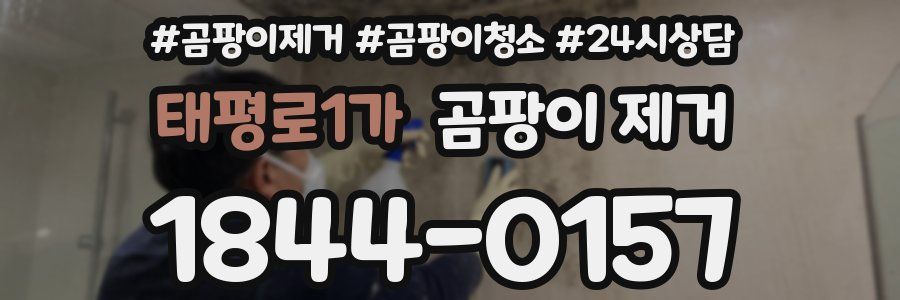 태평로1가 곰팡이 제거