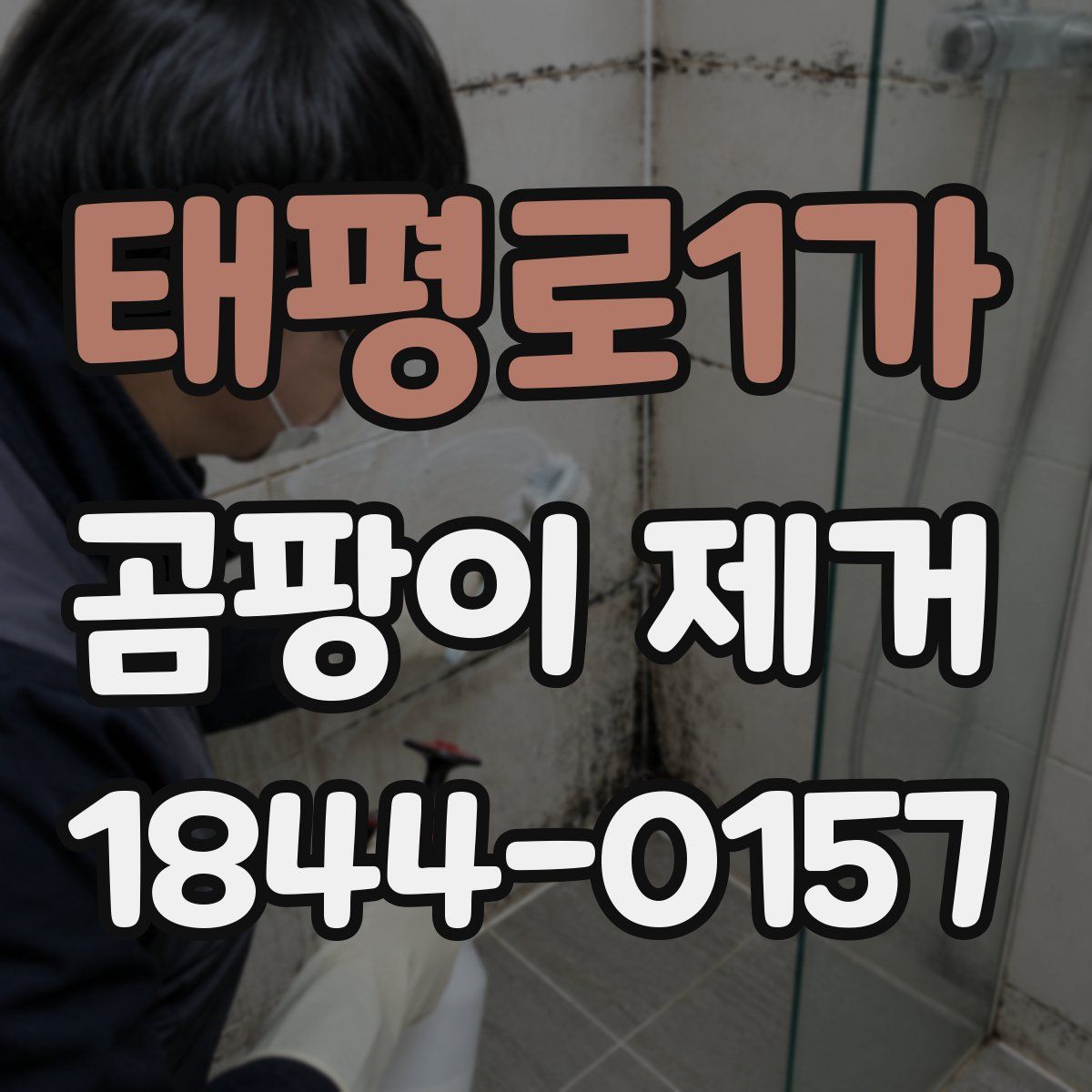 태평로1가 곰팡이 제거