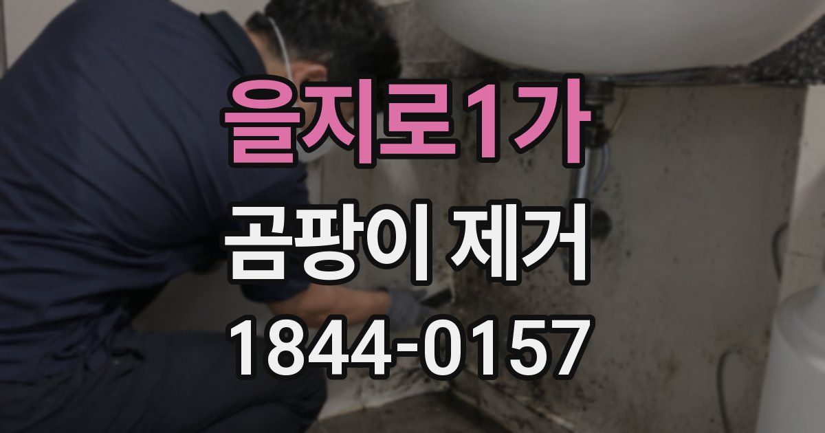 을지로1가 곰팡이 제거