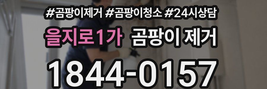 을지로1가 곰팡이 제거