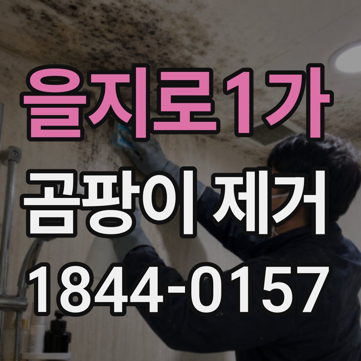 을지로1가 곰팡이 제거