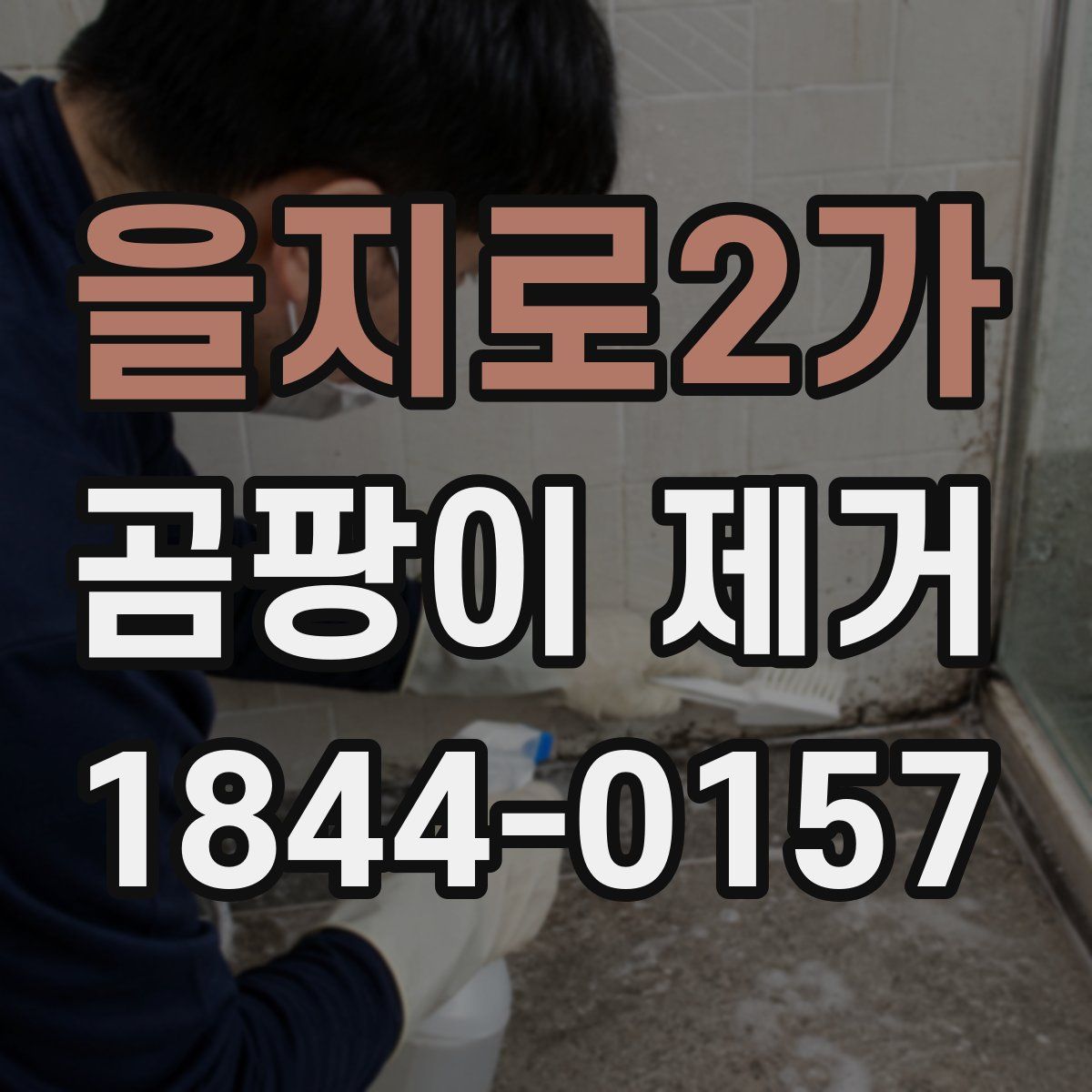 을지로2가 곰팡이 제거