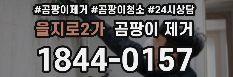 을지로2가 곰팡이 제거