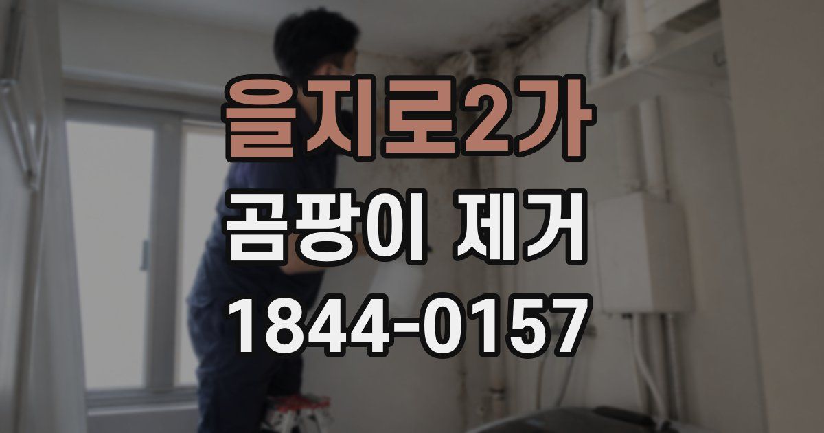 을지로2가 곰팡이 제거