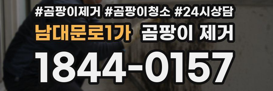 남대문로1가 곰팡이 제거