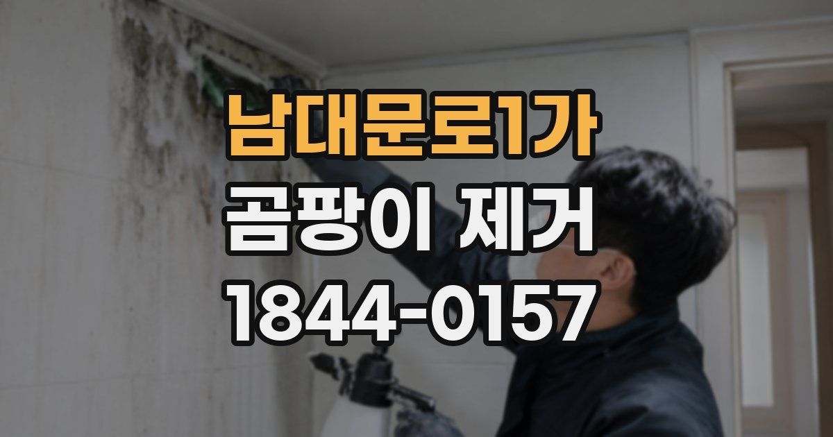 남대문로1가 곰팡이 제거