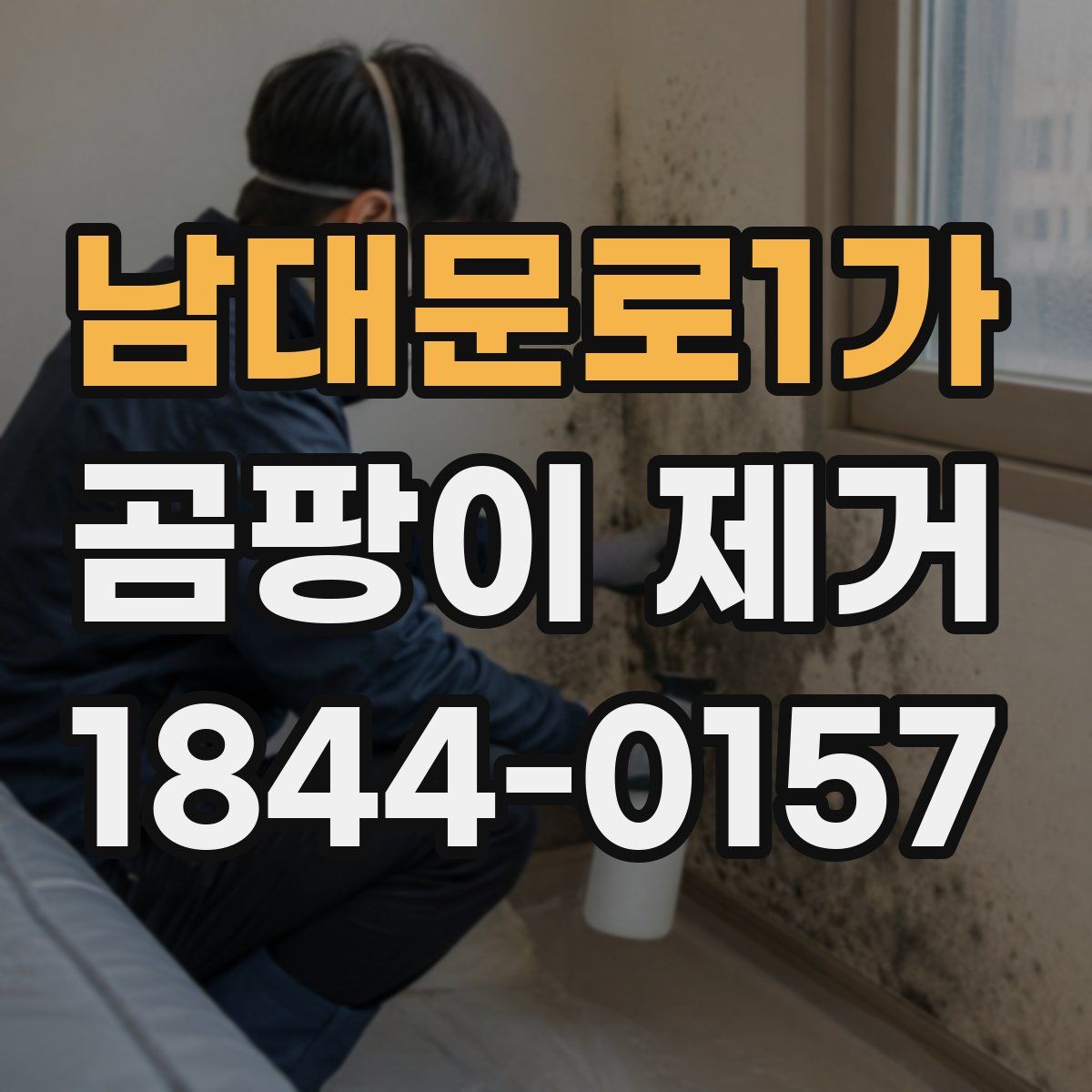 남대문로1가 곰팡이 제거