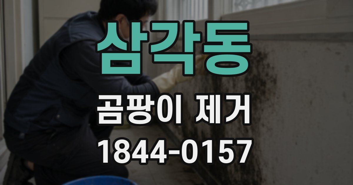 삼각동 곰팡이 제거