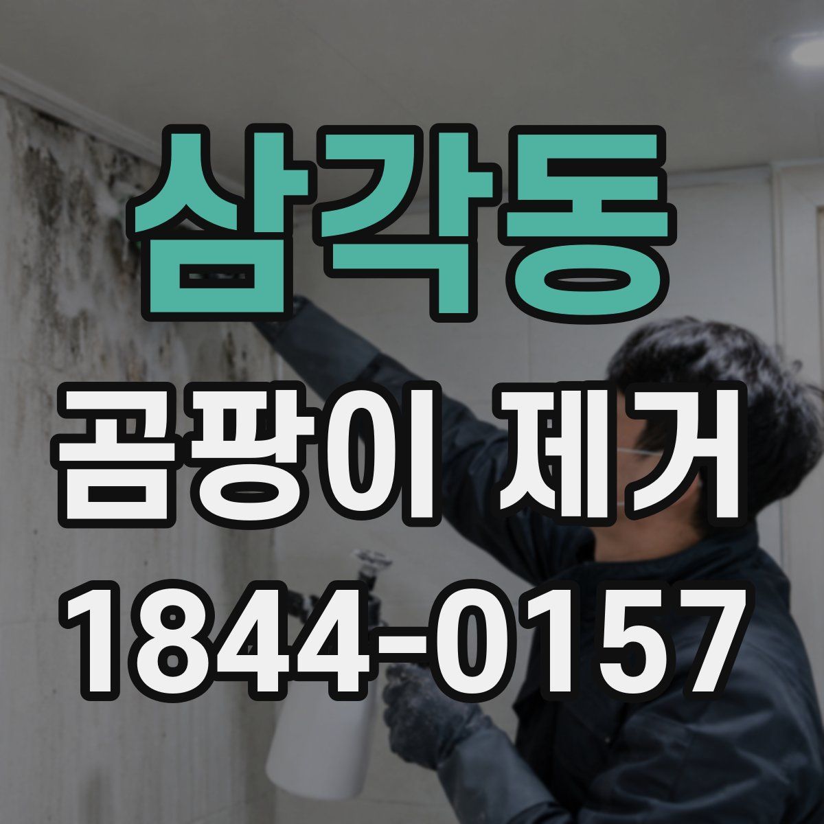 삼각동 곰팡이 제거