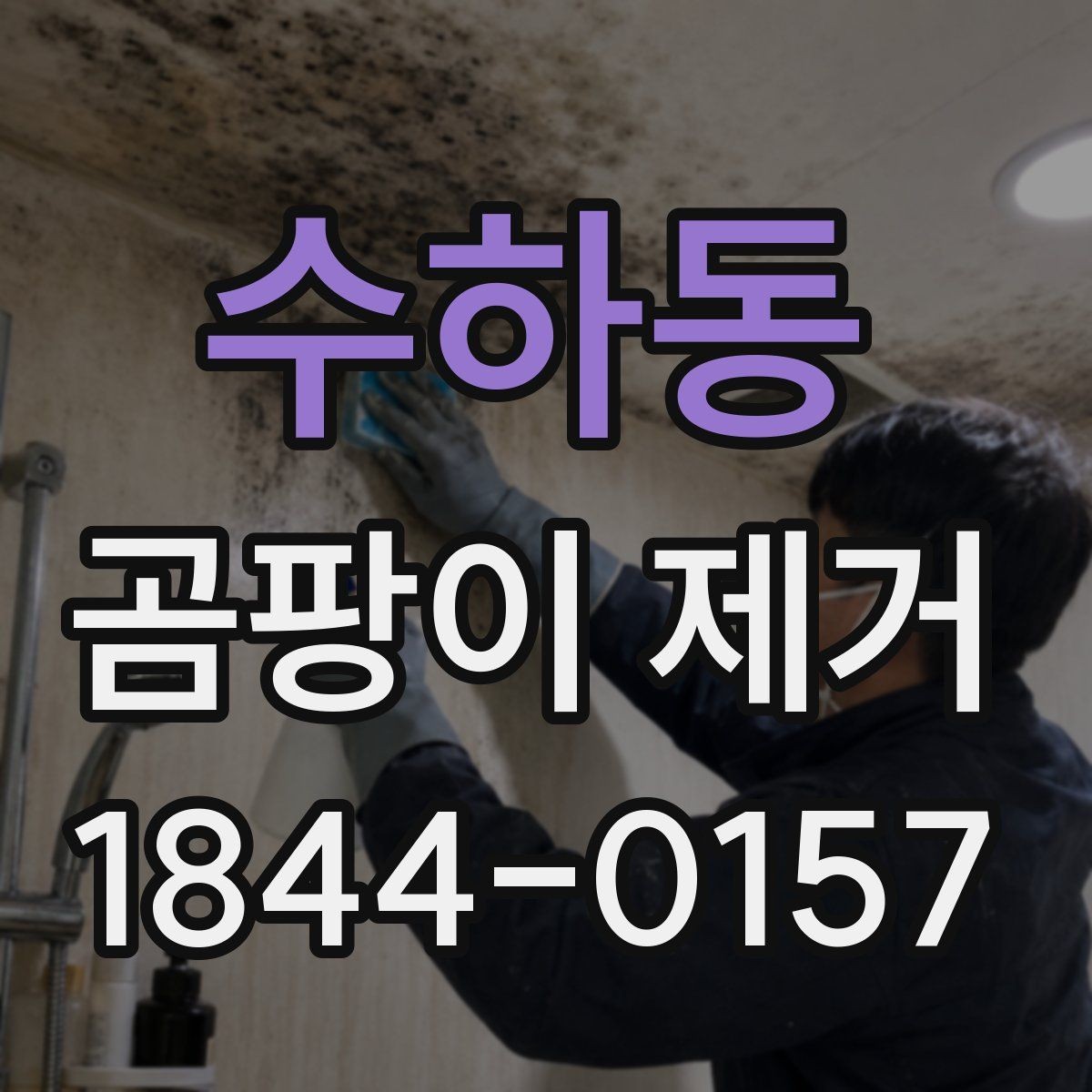 수하동 곰팡이 제거 셀프와 전문 작업은 어떻게 다를까