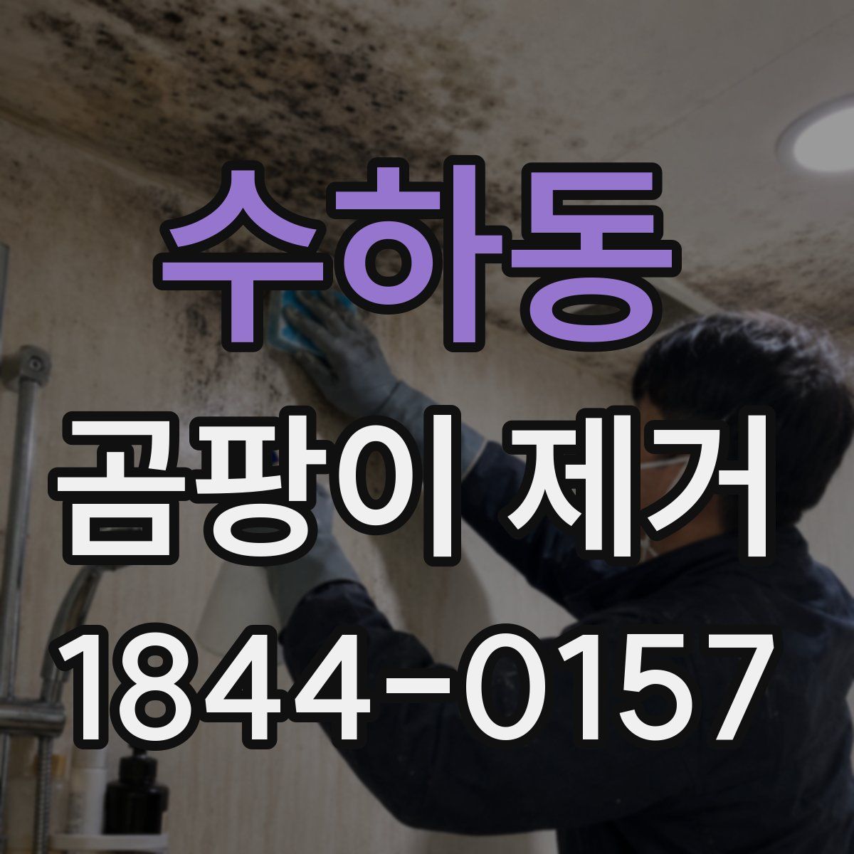 수하동 곰팡이 제거