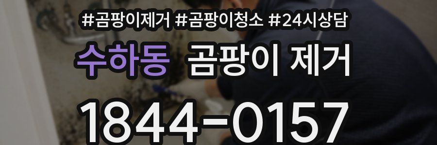 수하동 곰팡이 제거