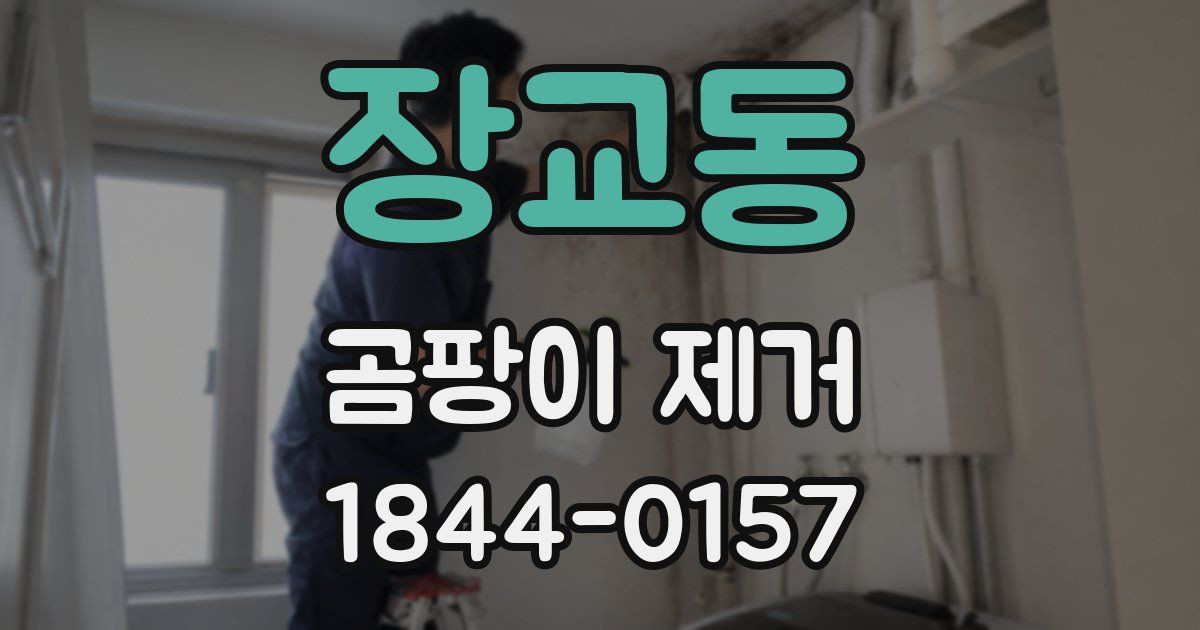 장교동 곰팡이 제거