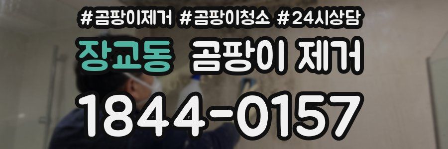 장교동 곰팡이 제거