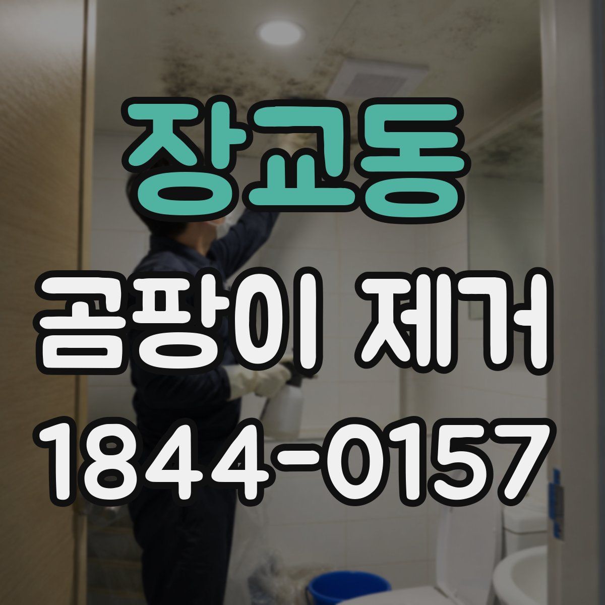 장교동 곰팡이 제거
