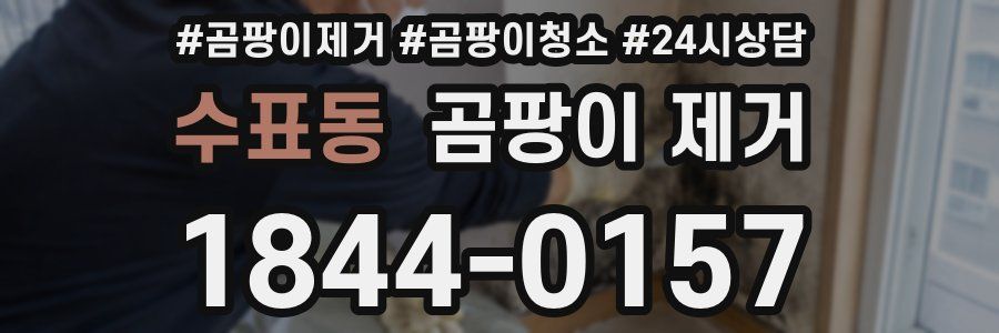 수표동 곰팡이 제거