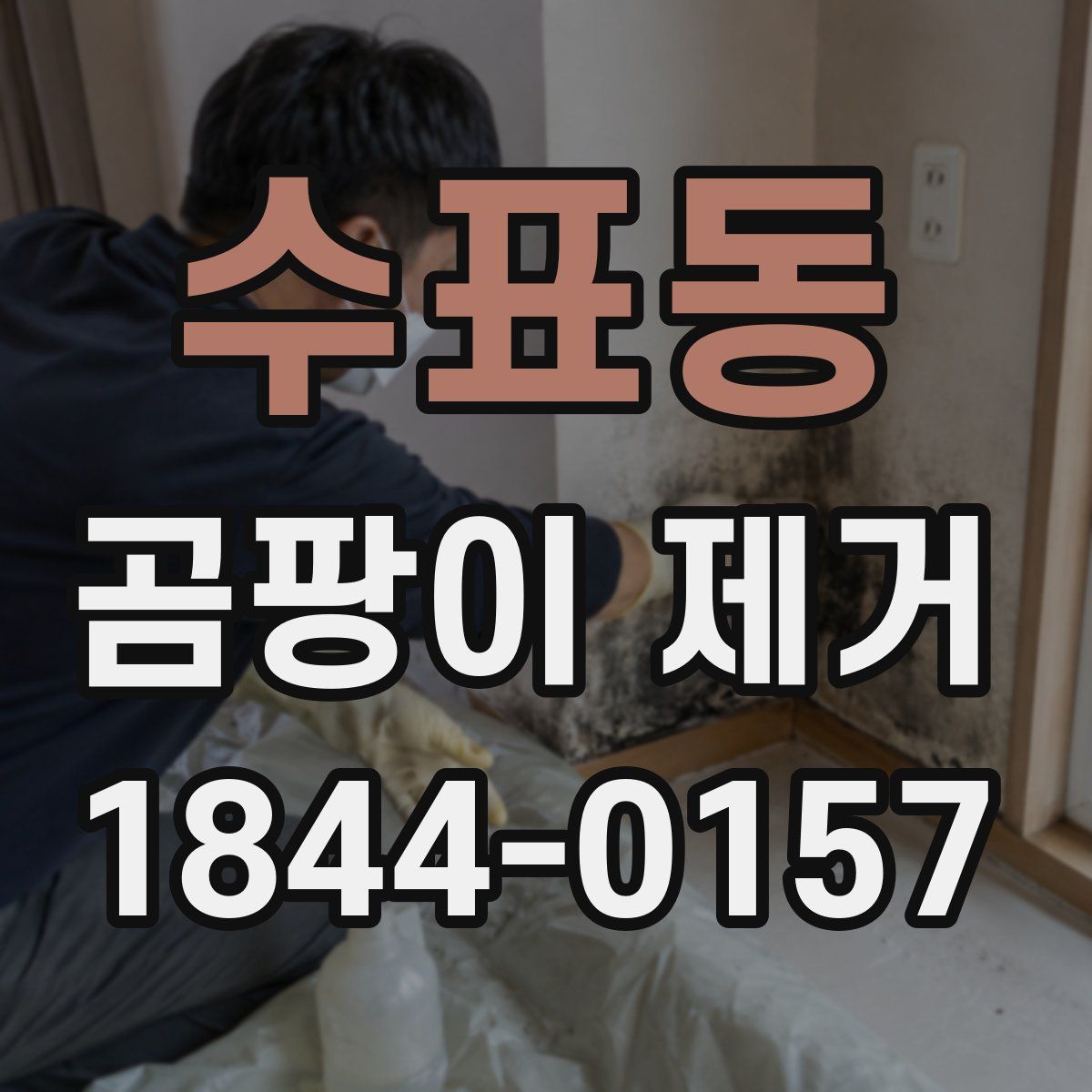 수표동 곰팡이 제거