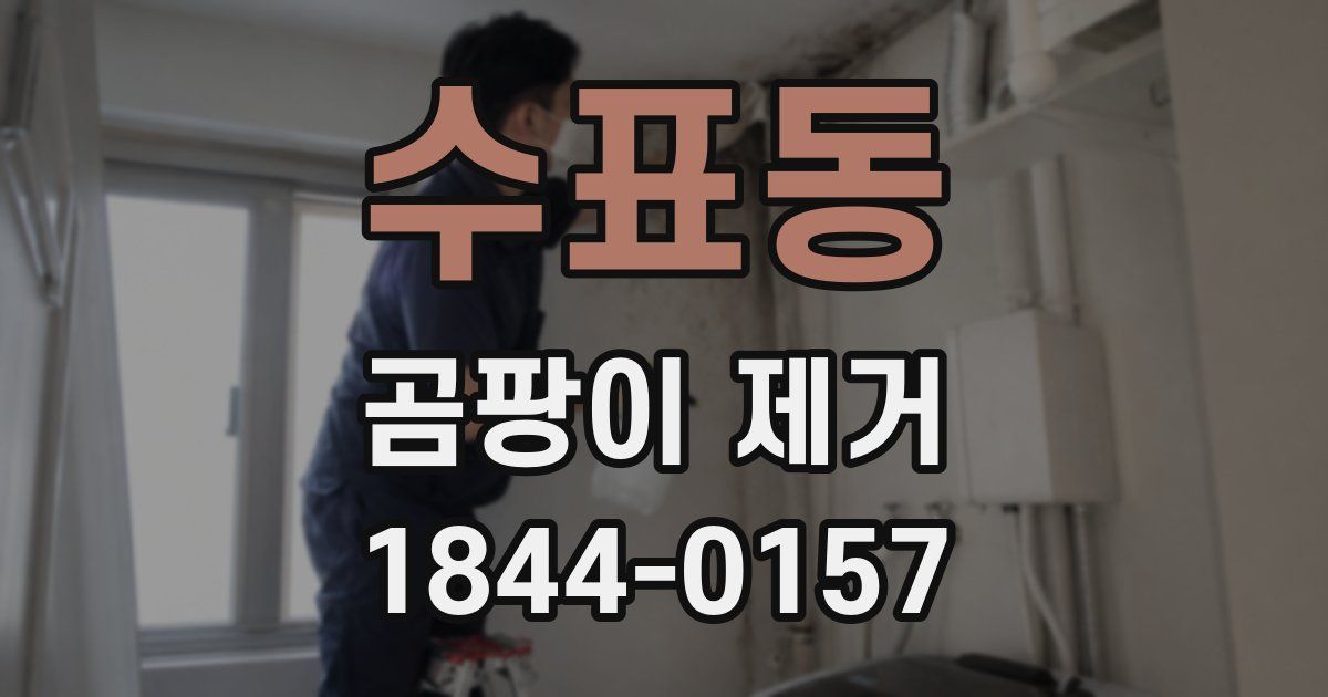 수표동 곰팡이 제거