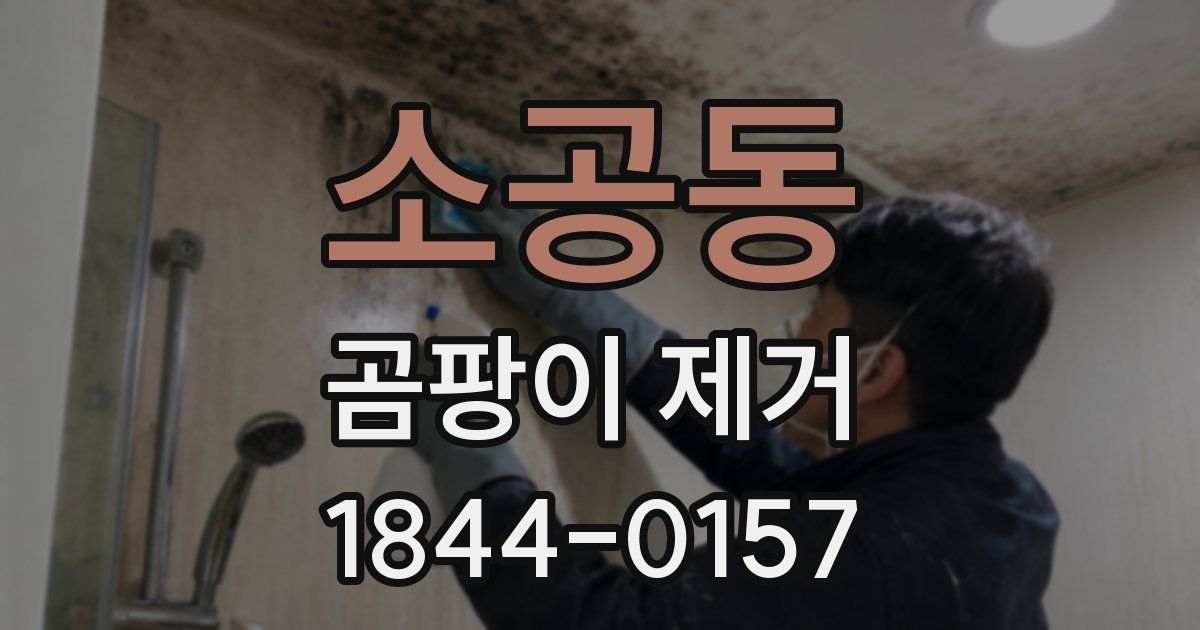 소공동 곰팡이 제거