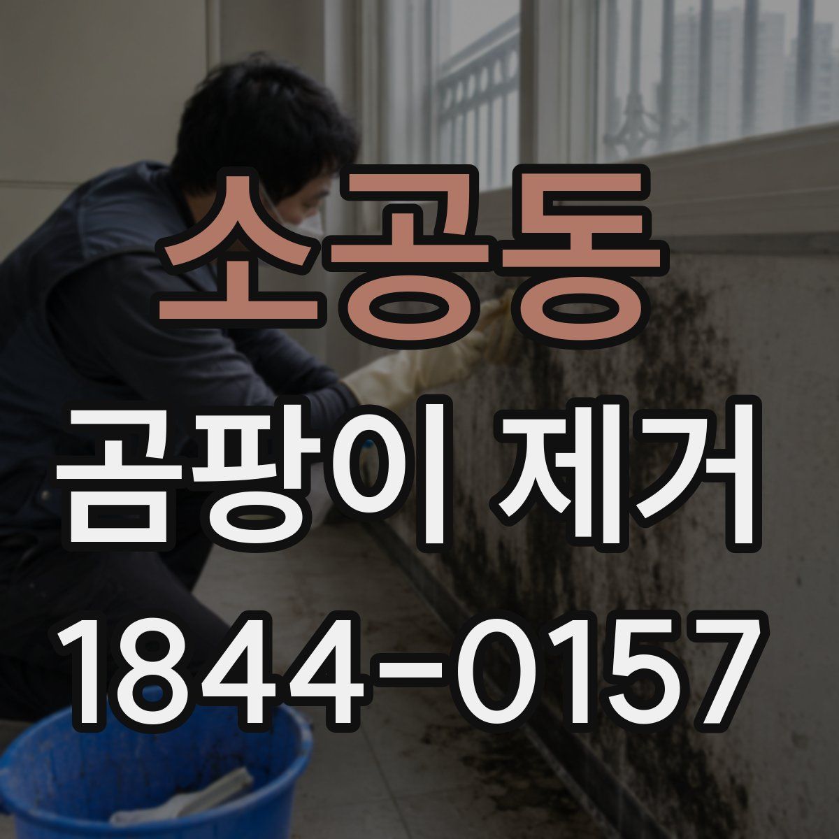 소공동 곰팡이 제거