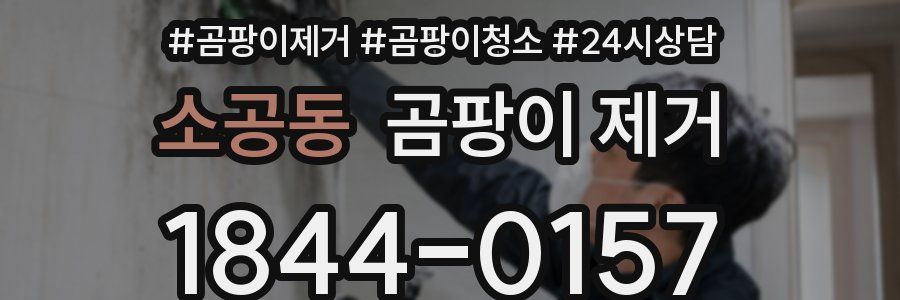 소공동 곰팡이 제거