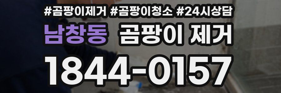 남창동 곰팡이 제거