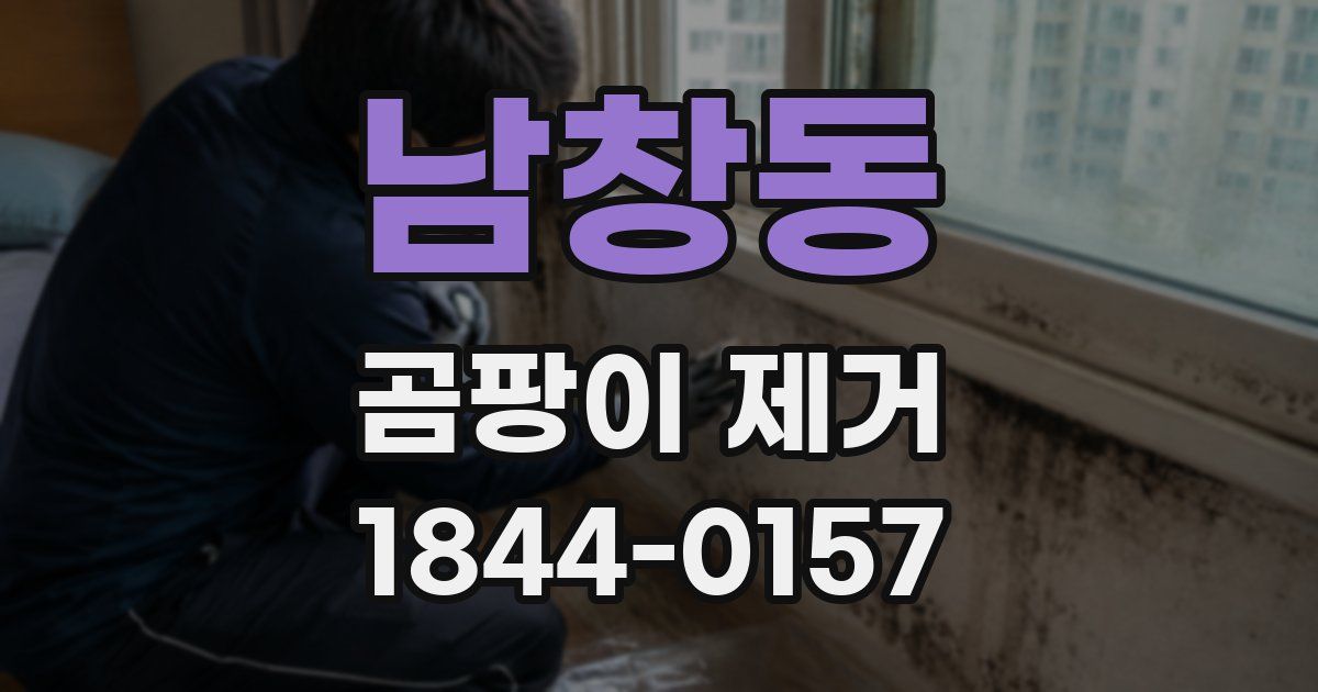 남창동 곰팡이 제거