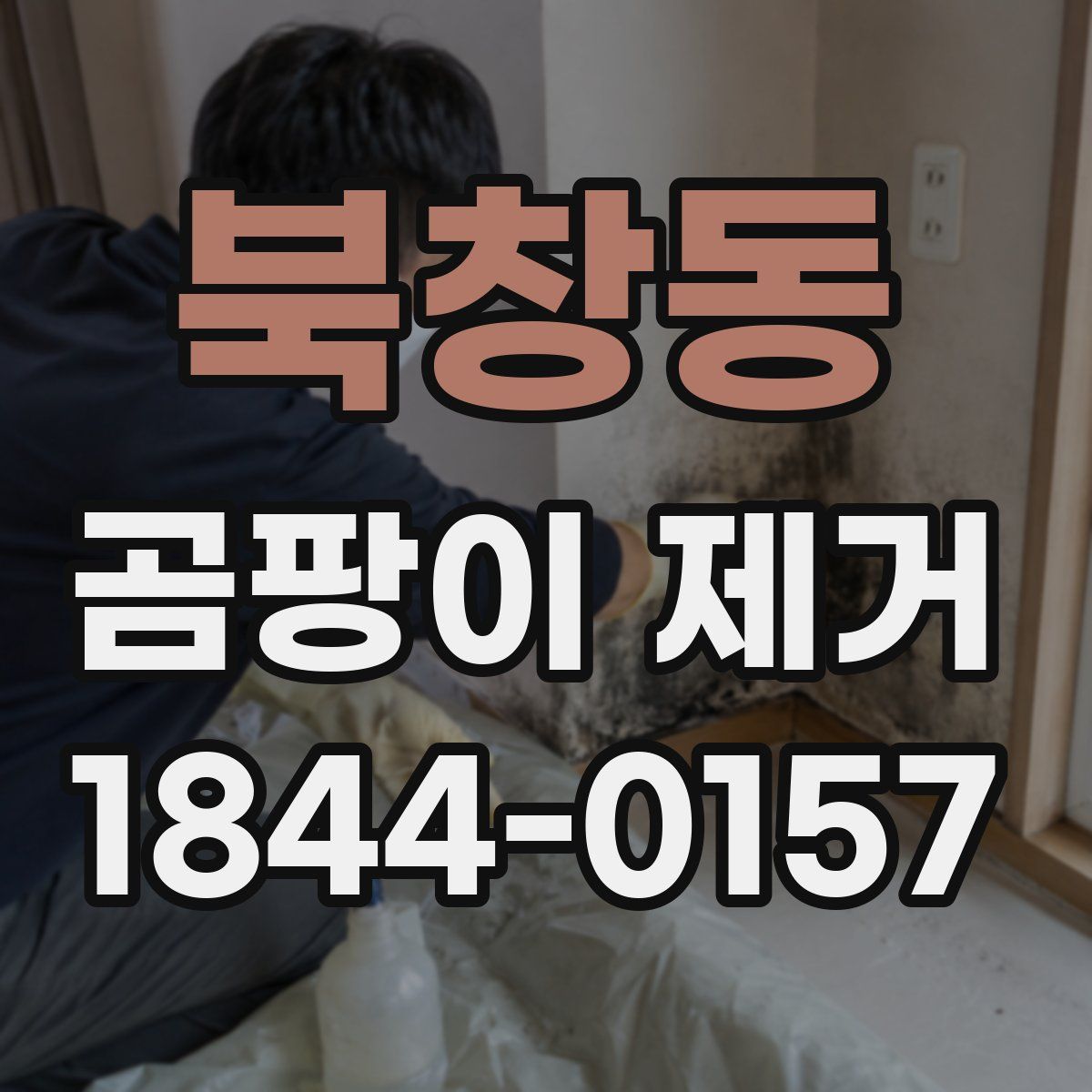 북창동 곰팡이 제거