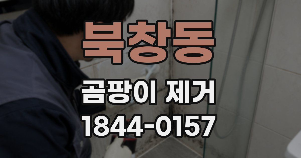 북창동 곰팡이 제거