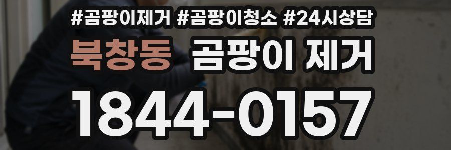 북창동 곰팡이 제거