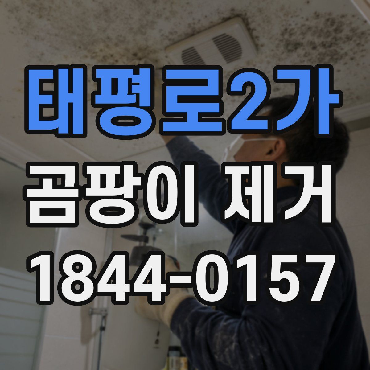 태평로2가 곰팡이 제거