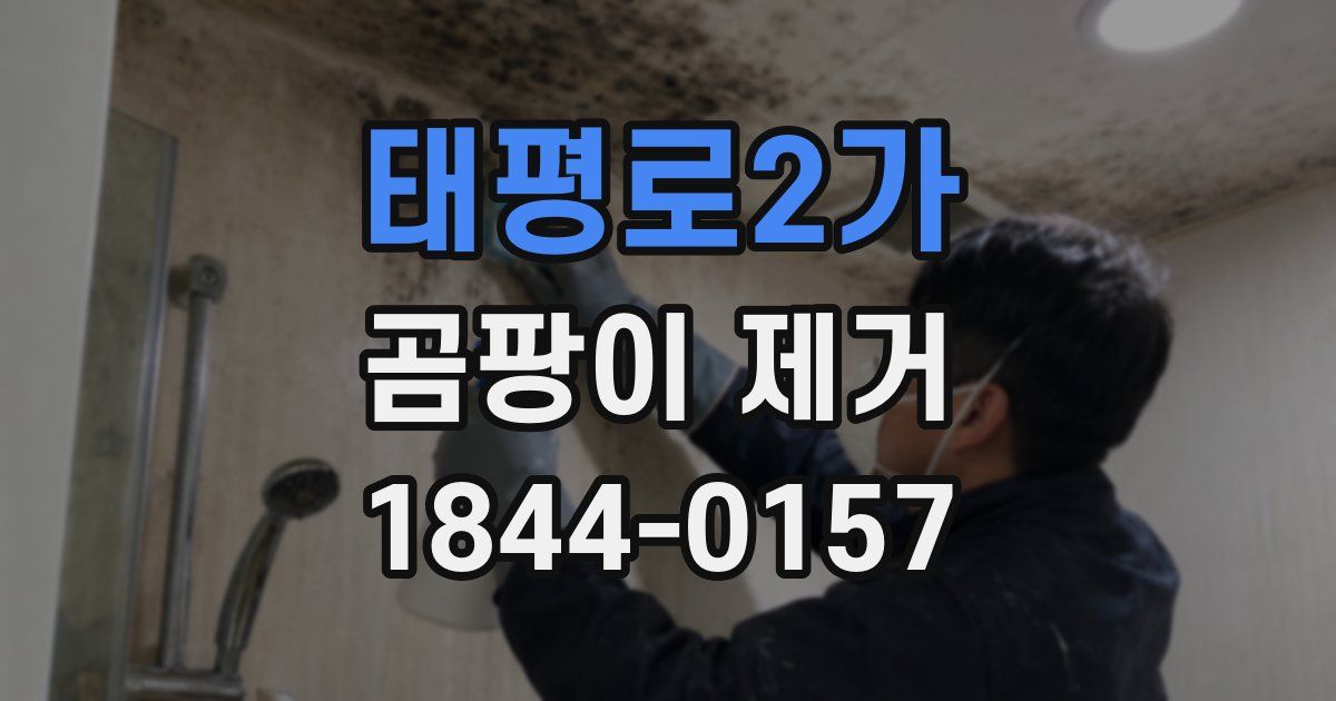 태평로2가 곰팡이 제거
