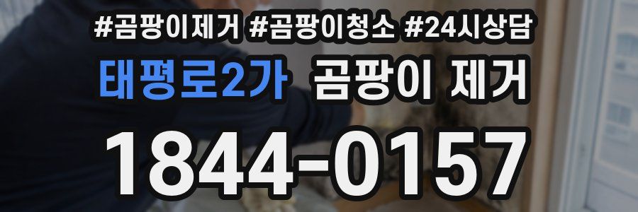 태평로2가 곰팡이 제거