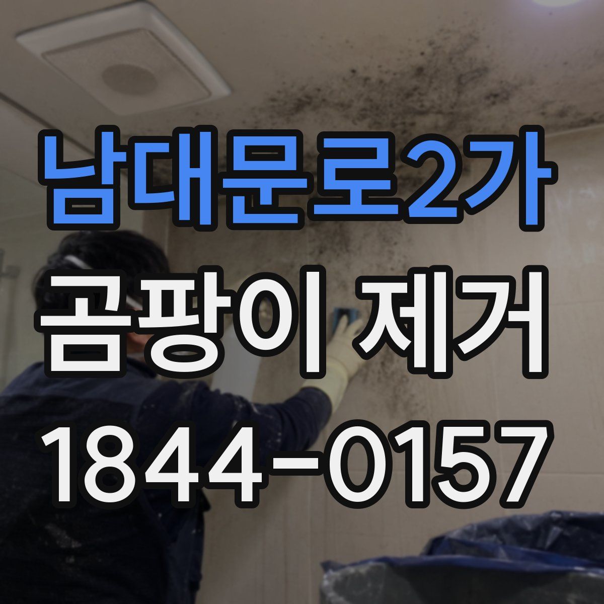 남대문로2가 곰팡이 제거