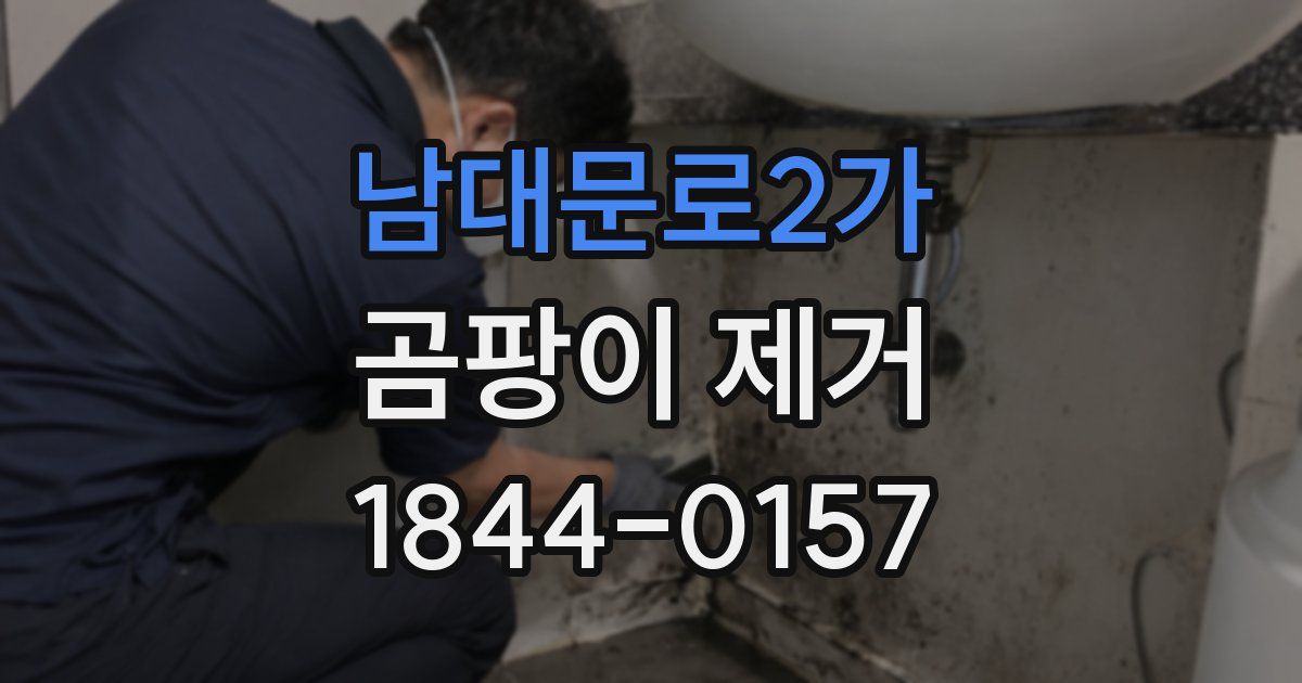 남대문로2가 곰팡이 제거