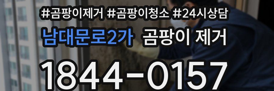남대문로2가 곰팡이 제거