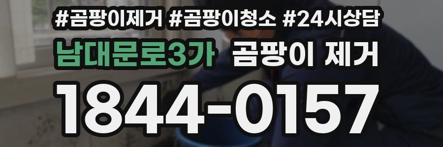 남대문로3가 곰팡이 제거