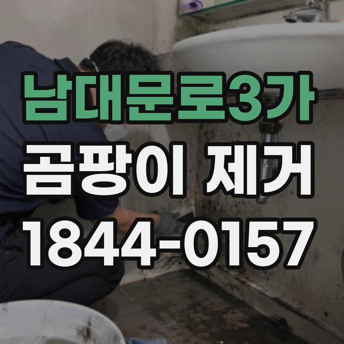 남대문로3가 곰팡이 제거