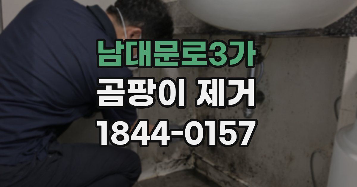 남대문로3가 곰팡이 제거