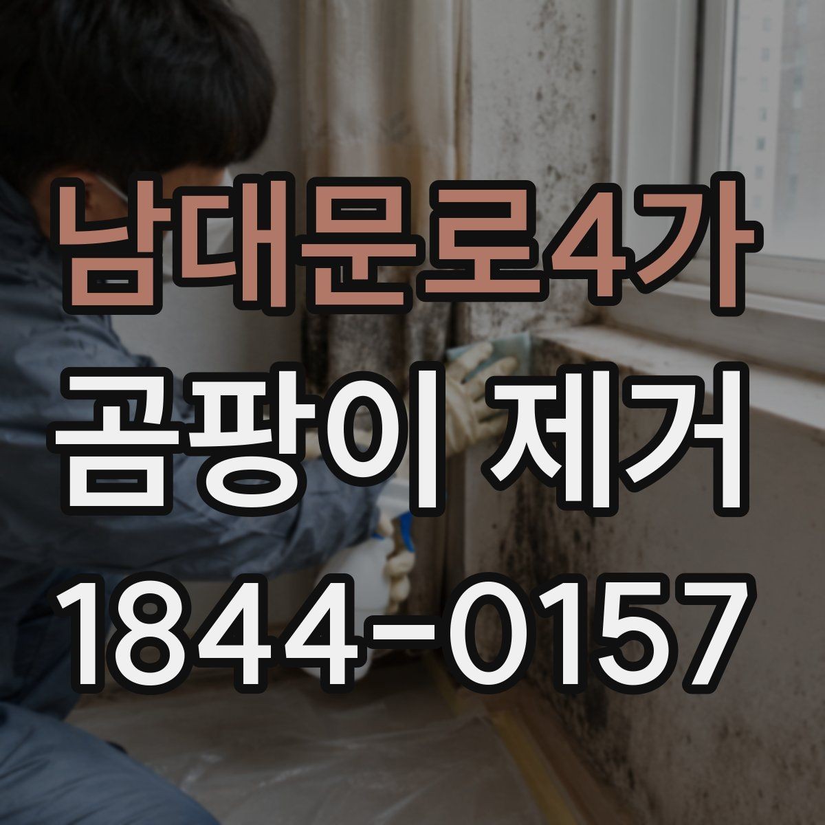 남대문로4가 곰팡이 제거 장농 속 습기부터 점검하는 이유